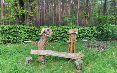 Ausflug der Wohngruppe Weißer Hirsch ins Alte Forsthaus