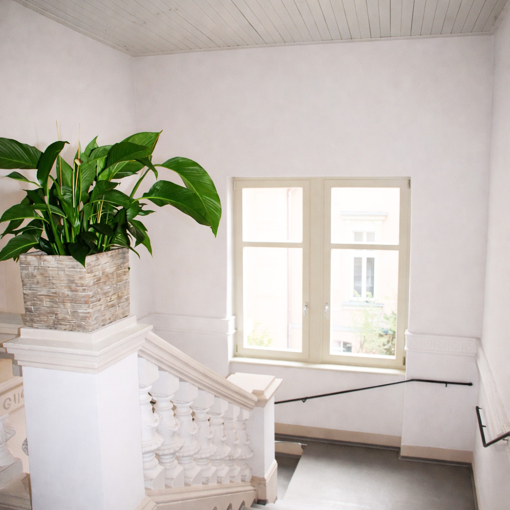 Flurbereich mit Treppe und Fenster
